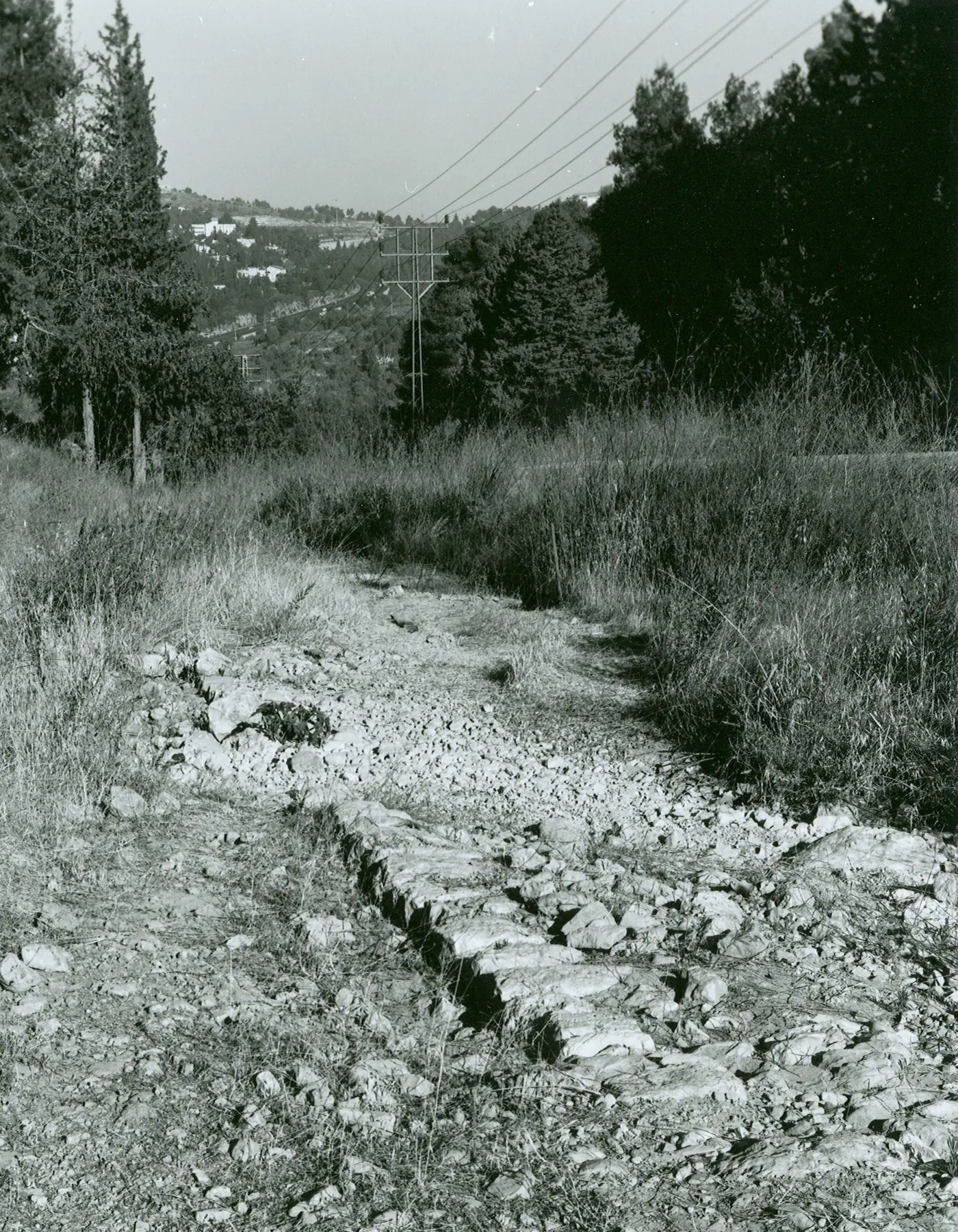 Photographed by Joel Fishman.