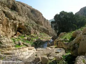 The waters of the Perat spring flow through Wadi Kelt on their way towards Jericho. The caves along this canyon could have provided shelter to the brigands of Shimon Bar Giora's of whom the historian Josephus writes. Photograph by Todd Bolen. Photo © BiblePlaces.com