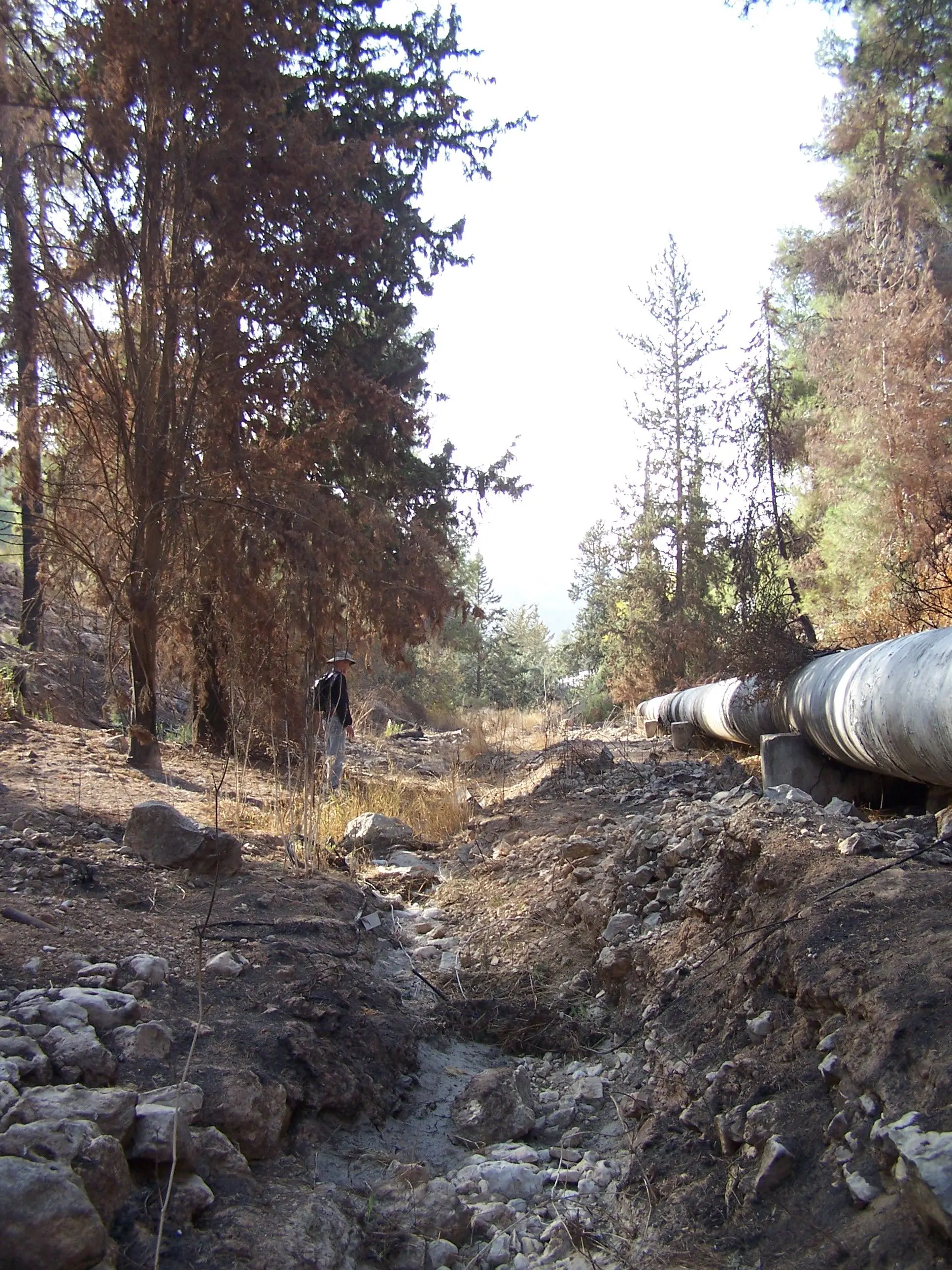 Photographed by Joshua N. Tilton on November 12, 2016.