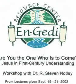 “Are You The One Who Is To Come?” (lecture series) - Image 3