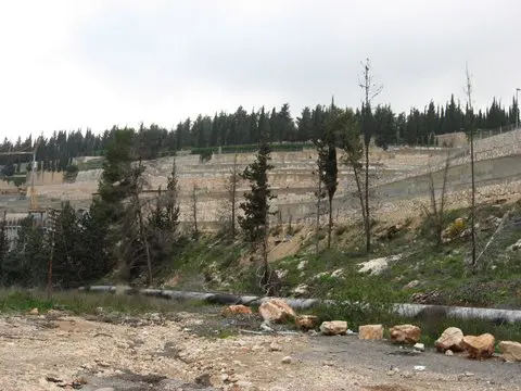 Photographed by Chris deVries, March 16, 2007.