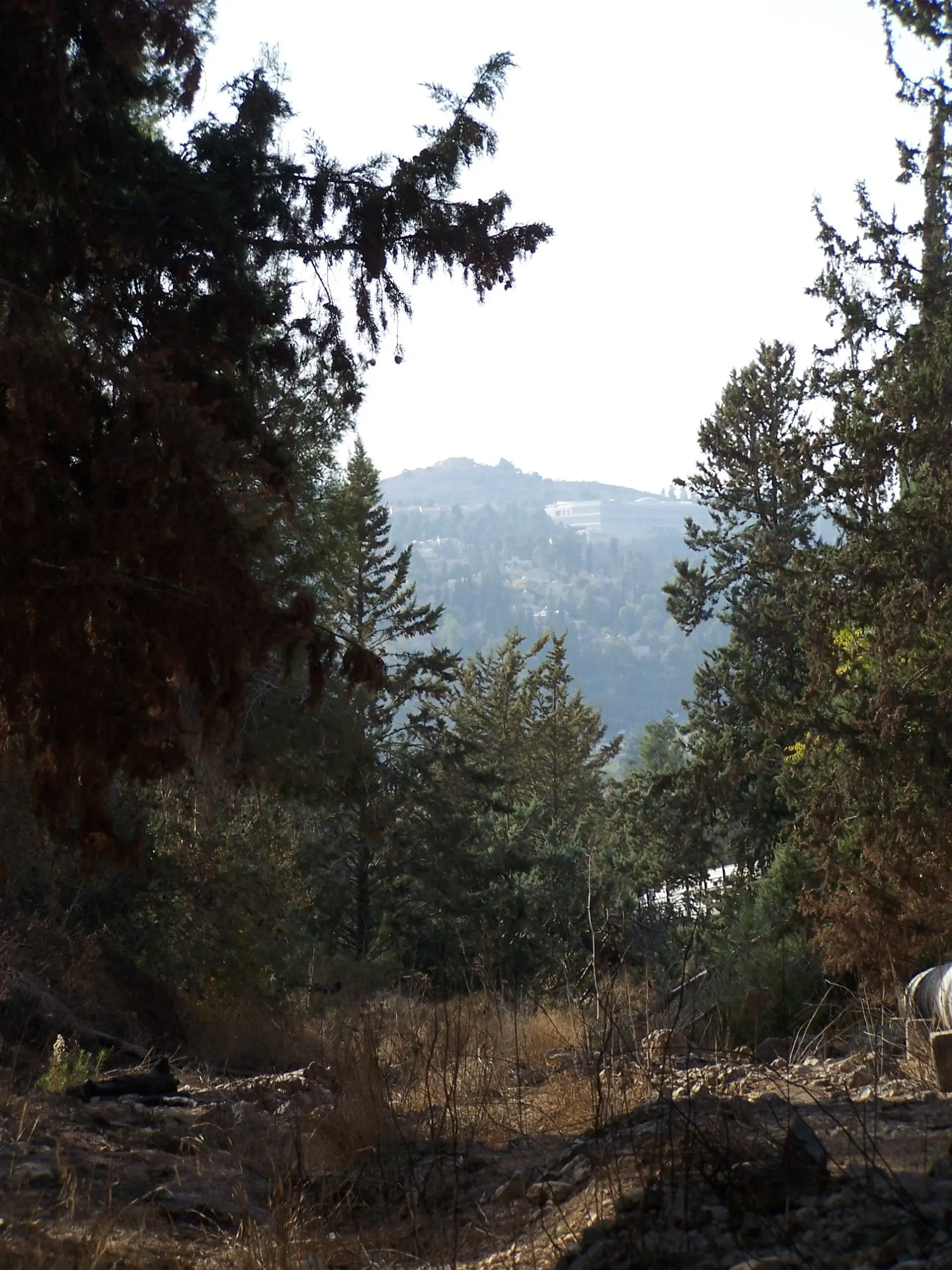 The Kastel peak rises above the remains of the Roman road to Emmaus. Photographed by Joshua N. Tilton on November 12, 2016.