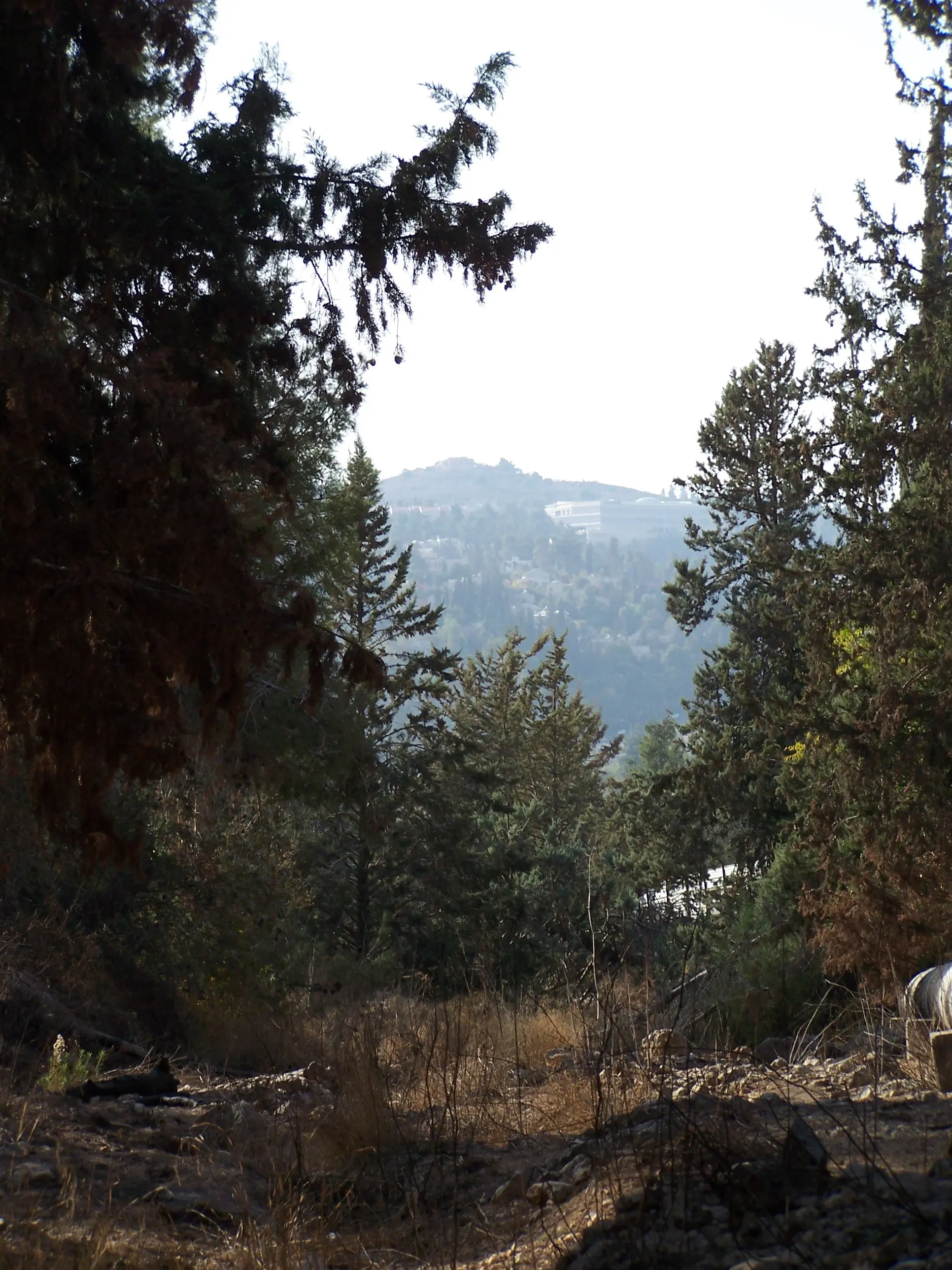 The Kastel peak rises above the remains of the Roman road to Emmaus. Photographed by Joshua N. Tilton on November 12, 2016.