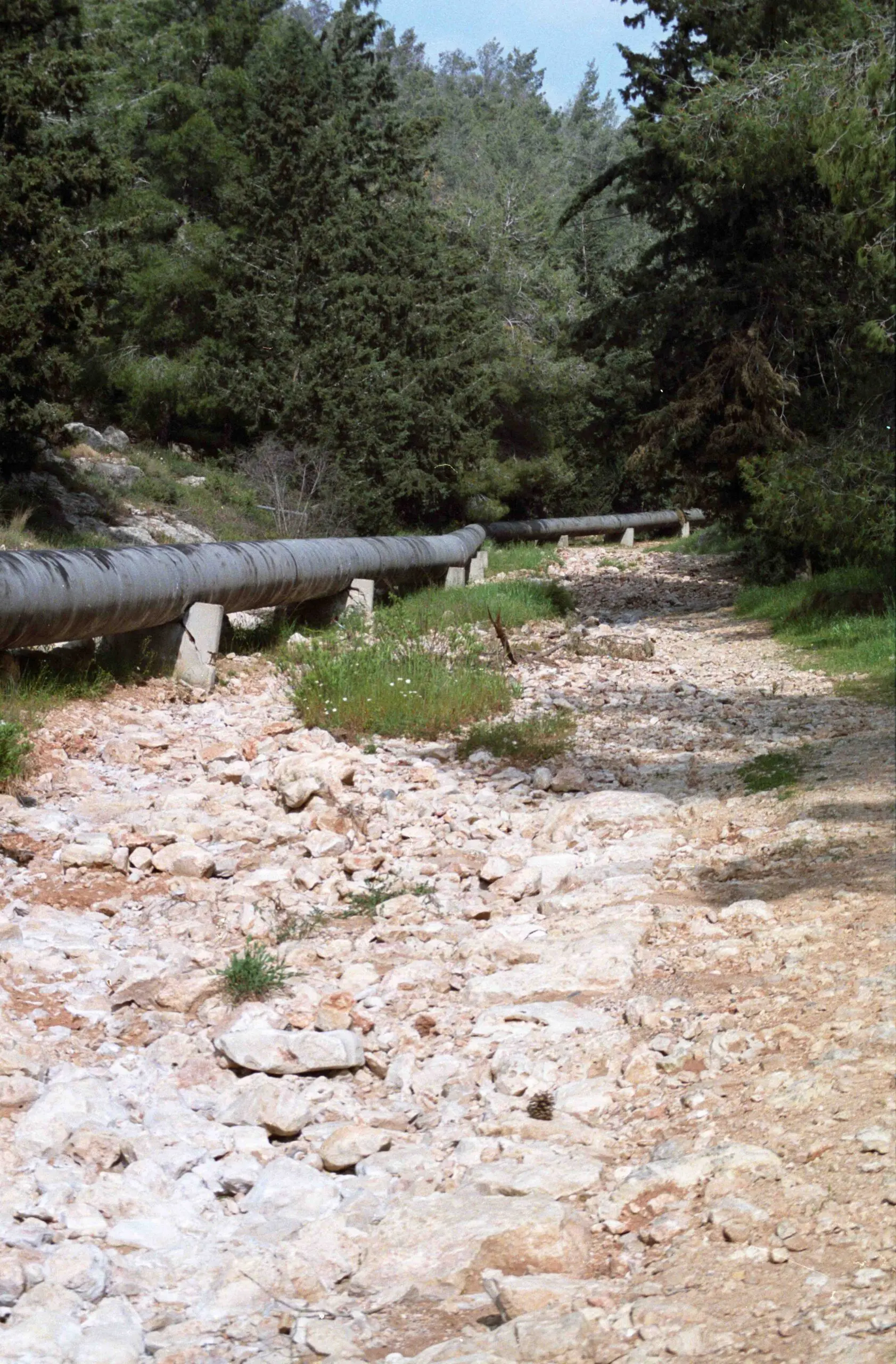 The curbing of the road in relation to the water main. Photographed by Lucinda Dale-Thomas, spring 1992.