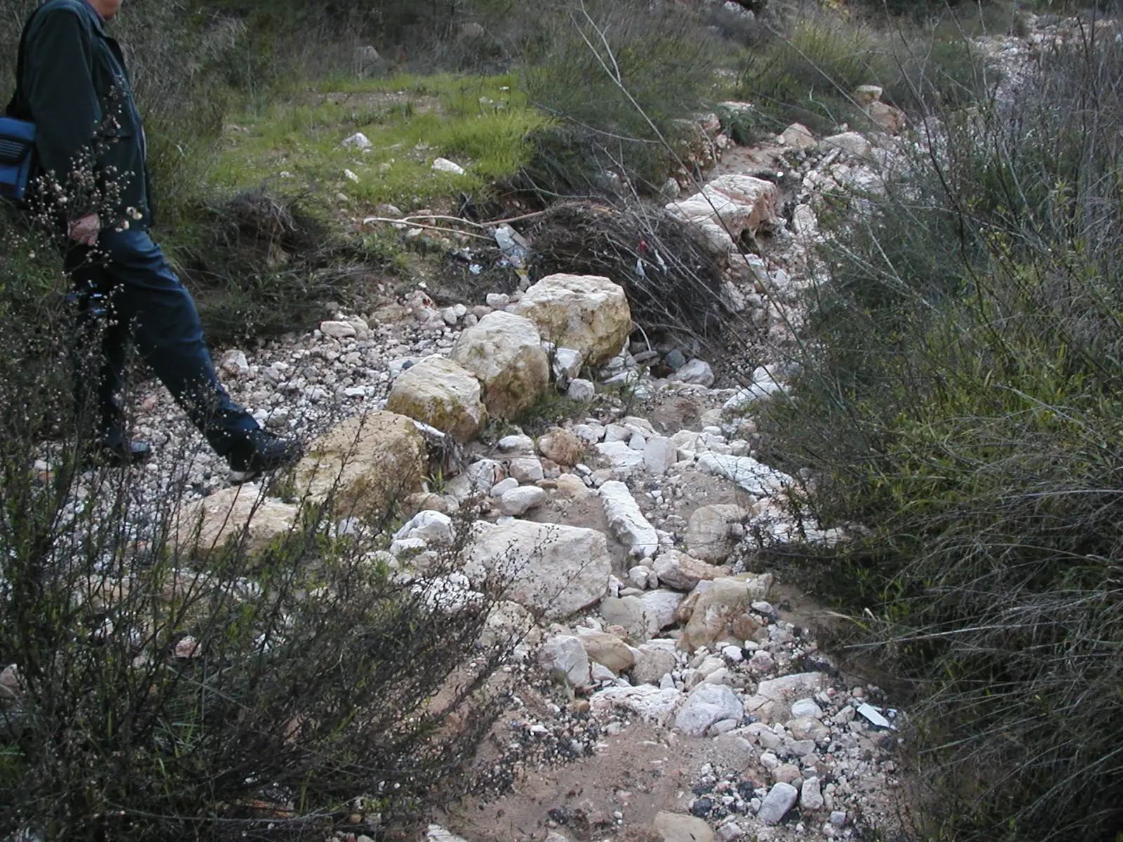 Temporarily, some of the road’s curbing remains in place, but mostly we see gravel and rocks that have washed down from higher up the valley. Photographed by David Bivin.