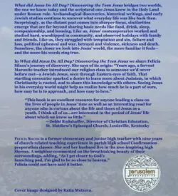 What Did Jesus DO All Day?: Discovering the Teen Jesus - Image 3