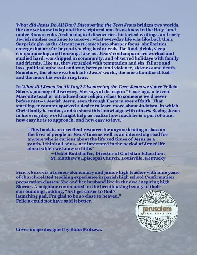 What Did Jesus DO All Day?: Discovering the Teen Jesus - Image 3
