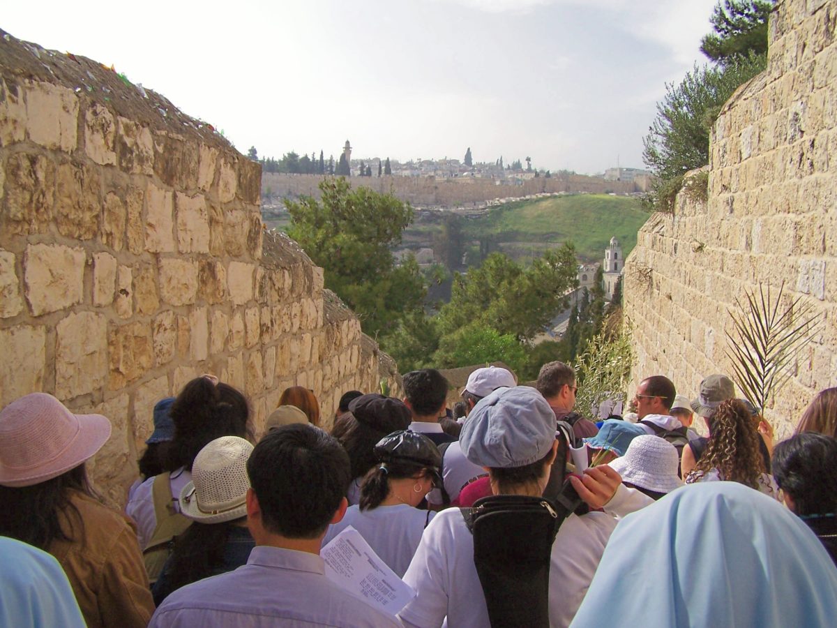 Links with Tabernacles and Hanukkah in the Gospel Accounts of Palm