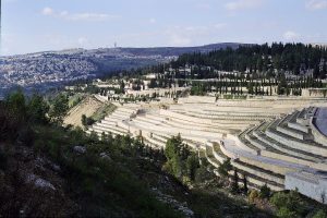 View of the cemetery from higher up the opposite hill. Photographed by Horst Krüger.