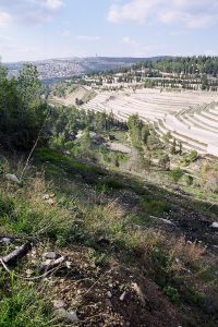 View from the opposite hill showing the new terraces of the cemetery, the water pipeline running down the ravine, and the rock crusher. Photographed by Horst Krüger.