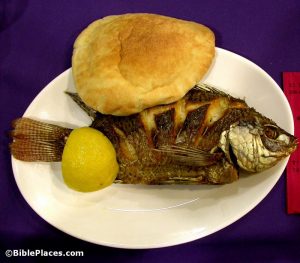 St Peter's fish