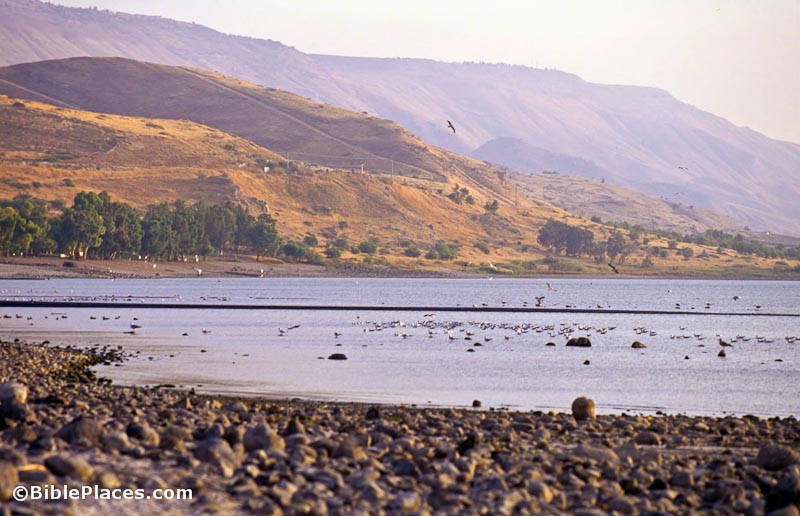 The steepest hills along the Sea of Galilee are on the eastern side of the lake near Kursi. Photograph by Todd Bolen. Photo © BiblePlaces.com