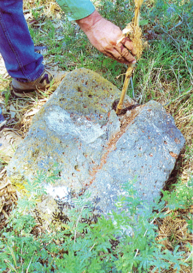 The basalt threshold of a door, a remnant of a public building that was perhaps the village synagogue. A stick is inserted into the socket in which the doorhinge rested.