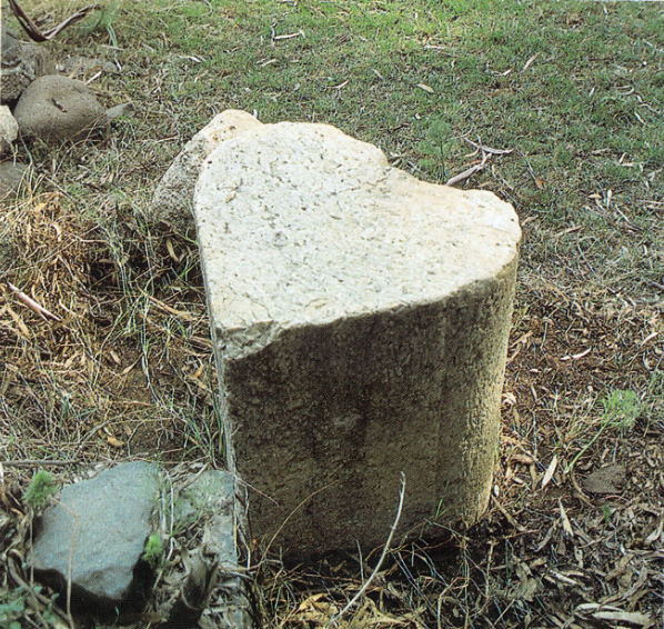 A heart-shaped limestone column drum found on the surface of el-Araj. The column drum now stands on the lawn of the Beteiha Plain Nature Reserve supervisor's home.