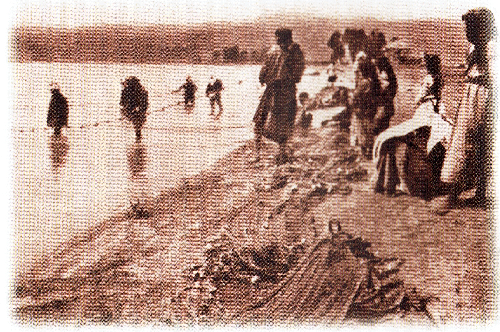 The pasha's Arab fishermen working their dragnets along the immaculate el-Araj beach. In the background, next to the eucalyptus trees, can be seen the pasha's two-story residence, Beit ha-Bek. From Rudolf de Haas, Galilee, the Sacred Sea (Jerusalem, 1933), 226.