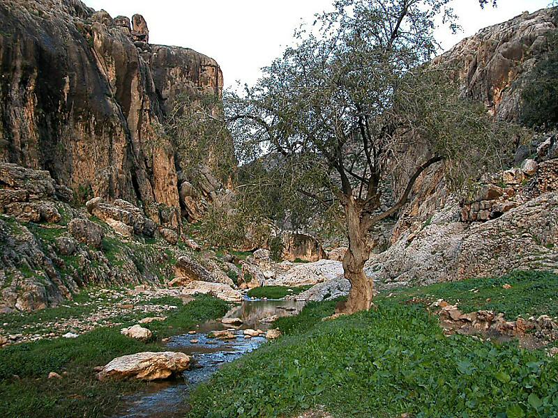 jesus journey from jericho to jerusalem