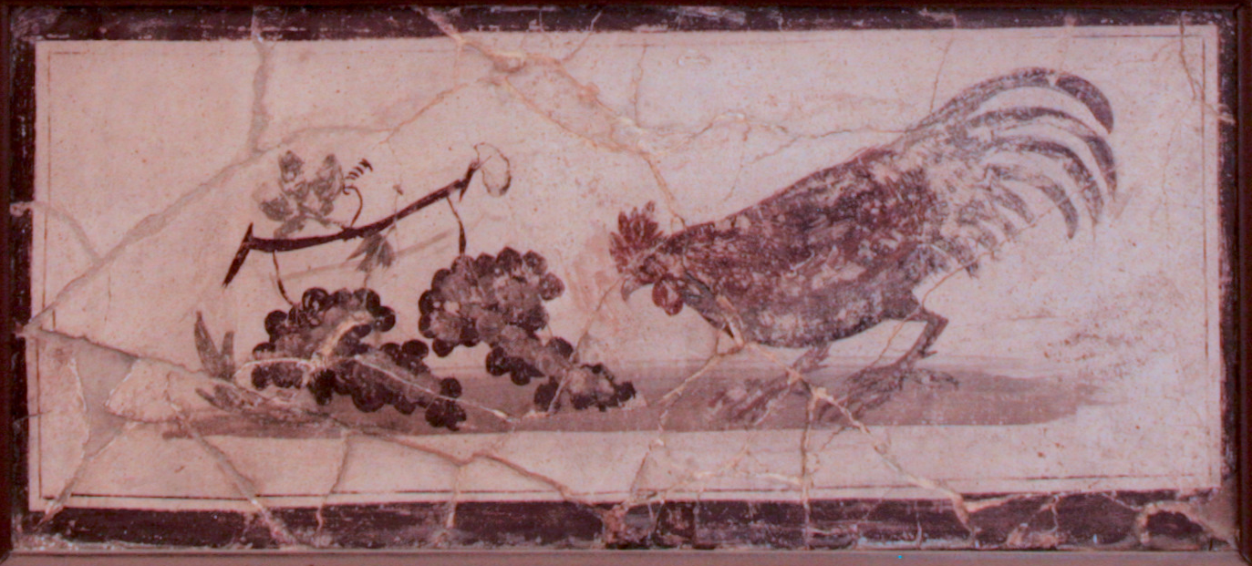 Chicken&GrapesHerculaneum