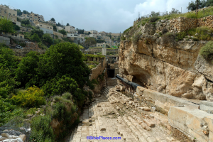 Siloam Pool excavations. The garden where the pool was located is on the left, the steps descending into the pool are in the center, to the right is the cliff. Photo courtesy of <a href="https://www.bibleplaces.com/" target="_blank" rel="noopener noreferrer" class="nolightbox">BiblePlaces.com</a>.