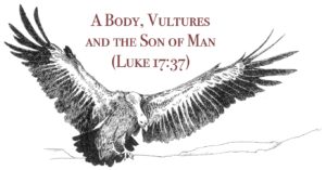 A Body, Vultures & SoM