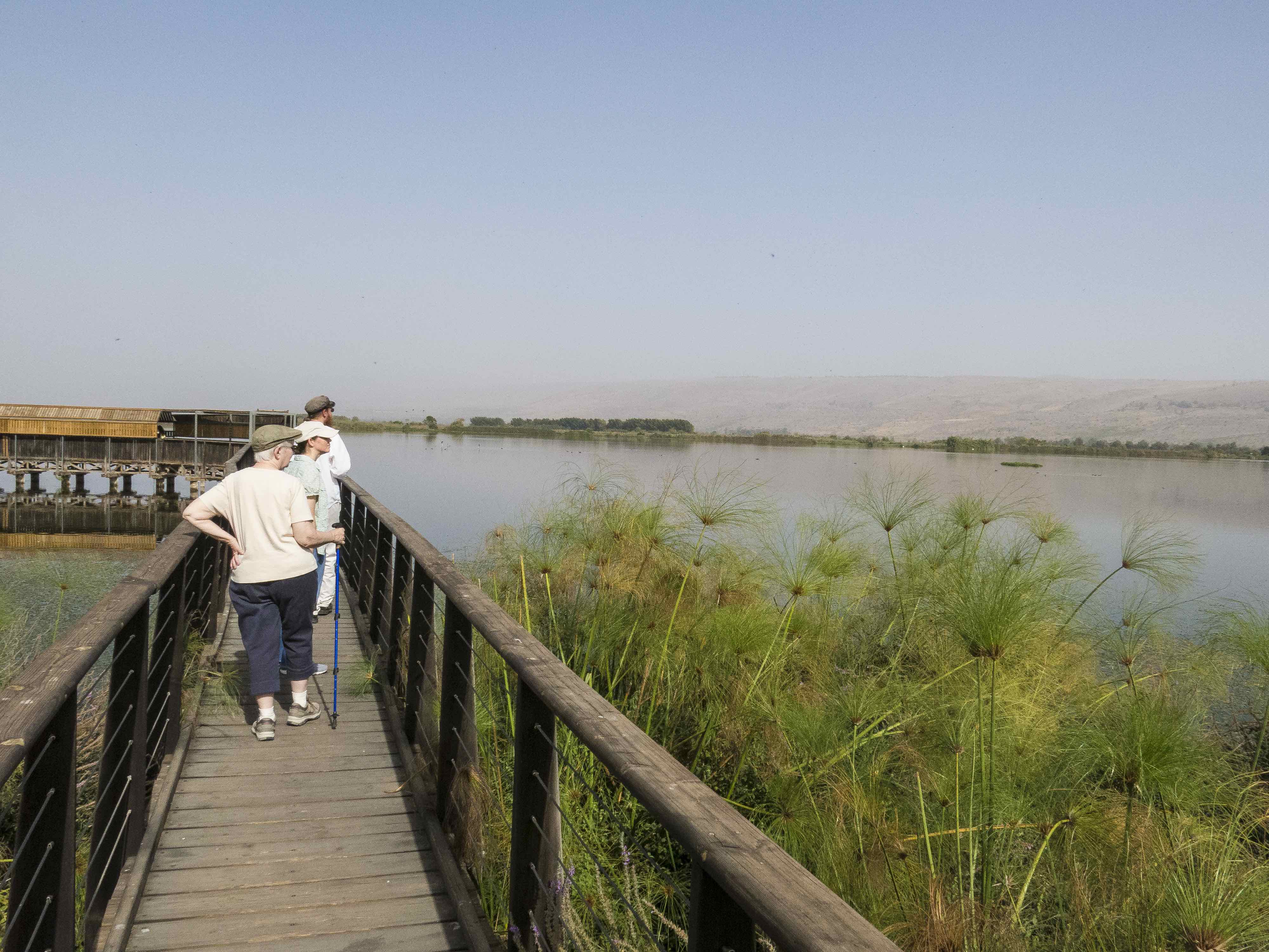 A boardwalk allows visitors to walk out over the Hula lake. Blinds (shown here on the left) conceal visitors from the local wildlife. Photo courtesy of Gary Asperschlager.