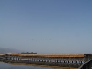 Blinds for viewing acquatic fowl at the Hula Valley Nature Reserve. Photo courtesy of Joshua N. Tilton.