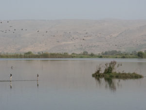 View of the Hula lake. Photograph courtesy of Gary Asperschlager.