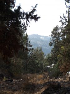 The Kastel peak rises above the remains of the Roman road to Emmaus. Photographed by Joshua N. Tilton on November 12, 2016.