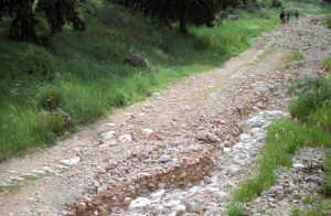 A long section of curbing but with a gully caused by erosion down the middle of the road. Photographed by Lucinda Dale-Thomas, spring 1992.