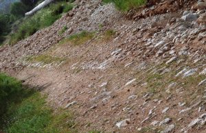 A ground-level view of a piece of the road which remained whole in 1992. Photographed by Lucinda Dale-Thomas, spring 1992.