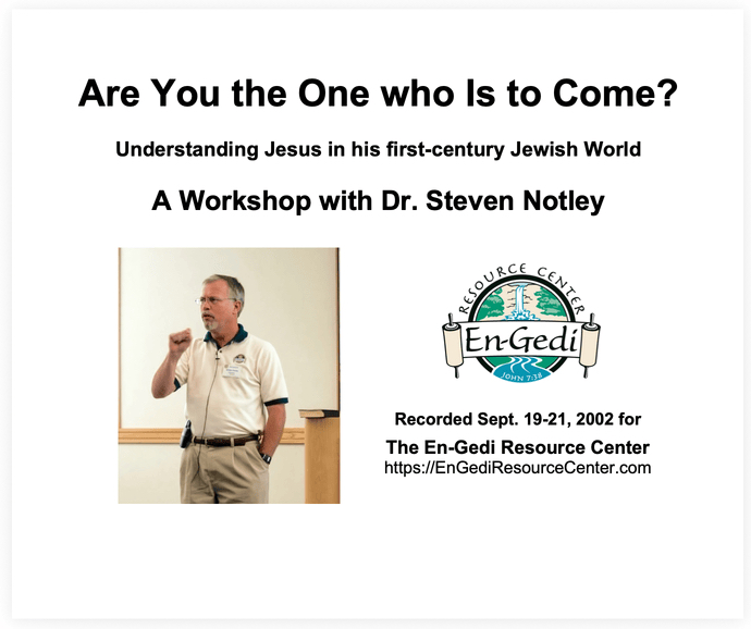 “Are You The One Who Is To Come?” (lecture series)