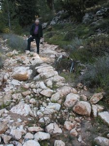 Horst Krüger inspects a line of stones. Photographed by David Bivin.