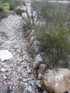 Here, a bit of the road’s curbing remains. Photographed by David Bivin.