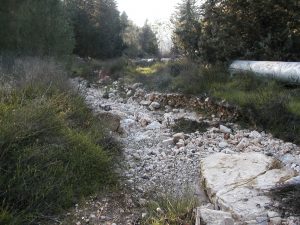 The destruction of the Emmaus Road is complete in this section of the valley. Photographed by David Bivin.