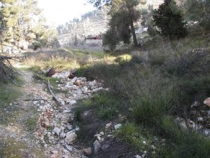 The rock crusher at the top of this section of the road (view to the east). Photographed by David Bivin.