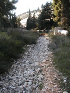 The valley floor is now just a gulley. Photographed by David Bivin.