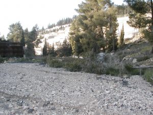 The valley floor is now covered with surface soil and rock that has washed down from above (in the background to the left is the rock crusher). Photographed by David Bivin.