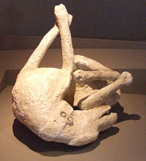 Cast of a pet dog that died in Pompeii during the eruption of Mount Vis (79 C.E.). Photo courtesy of Claus Ableiter via Wikimedia Commons.