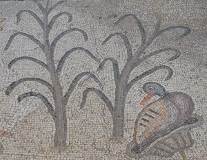 Reeds (<i>Phragmites australis</i>) as depicted in a fifth-century C.E. mosaic from the Church of the Multiplication in Tabgha on the northern shore of the Sea of Galilee. Image courtesy of <a href="https://commons.wikimedia.org/w/index.php?title=File:5th_century_AD_restored_mosaic_pavement_in_the_Church_of_the_Multiplication_depicting_various_wetland_birds_and_plants,_the_earliest_known_examples_of_figured_pavement_in_Christian_art_in_the_Holy_Land,_Tabgha,_Galilee_(18868411359).jpg&oldid=242392853">Wikimedia Commons</a>.