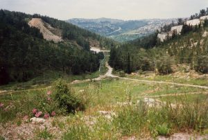 The route of the Roman road leading west from Jerusalem toward Emmaus. A gravel quarry can be seen on the hillside at the left-center. The Har HaMenuhot cemetery is on the slopes to the right. The highest point on the horizon is Kastel. Photographed by Lucinda Dale-Thomas, spring 1992.