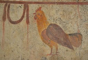 A rooster from a mid fourth-century B.C.E. tomb painting in Paestum (Italy). Image courtesy of <a href="https://commons.wikimedia.org/wiki/File:Lucanian_fresco_tomb_painting_of_a_rooster,_about_350_BC,_Paestum_Archaeological_Museum_(14623218423).jpg" target="_blank" rel="noopener noreferrer" class="nolightbox">Wikimedia Commons</a>.