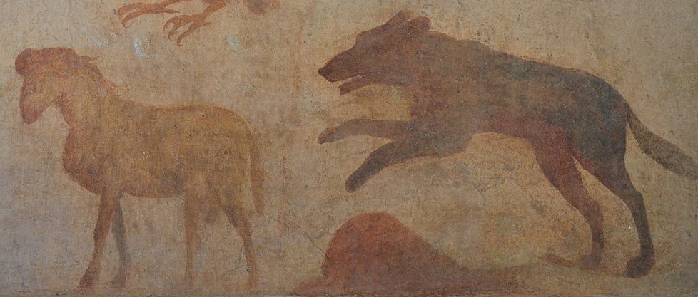 A wolf leaps on an unsuspecting sheep in this first-century C.E. fresco from the temple of Isis in Pompeii. Image courtesy of Wikimedia Commons.