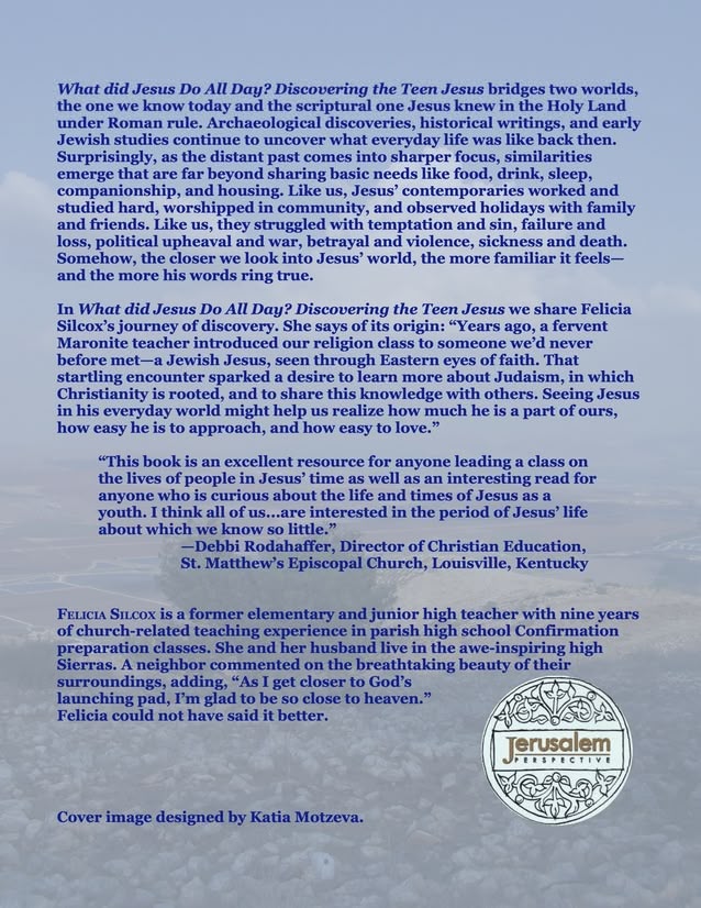 What Did Jesus DO All Day?: Discovering the Teen Jesus - Image 3