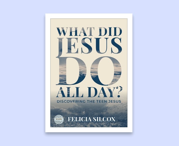 What Did Jesus DO All Day?: Discovering the Teen Jesus