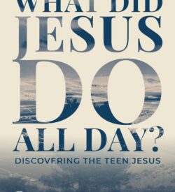 What Did Jesus DO All Day?: Discovering the Teen Jesus - Image 2