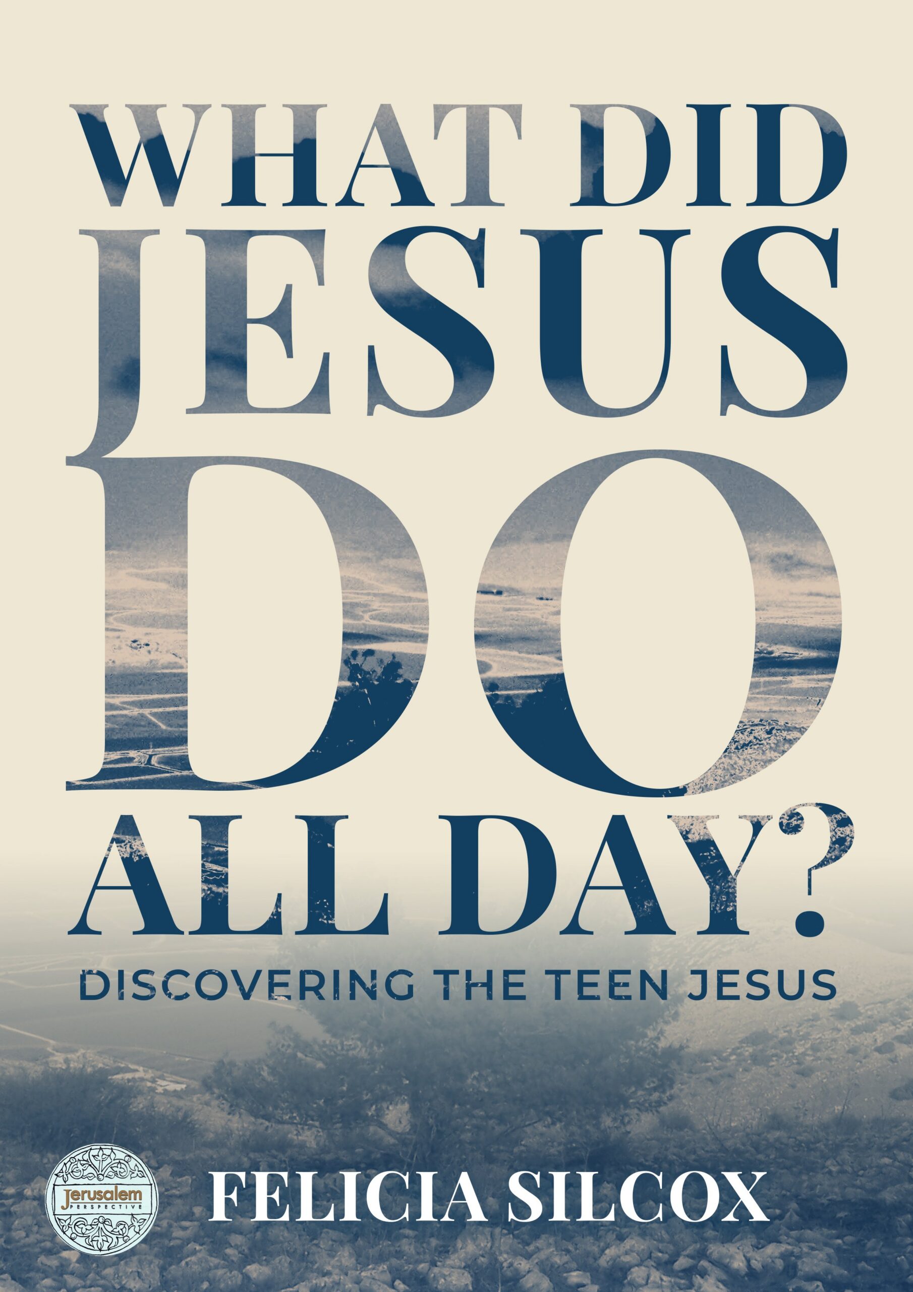 What Did Jesus DO All Day?: Discovering the Teen Jesus - Image 2