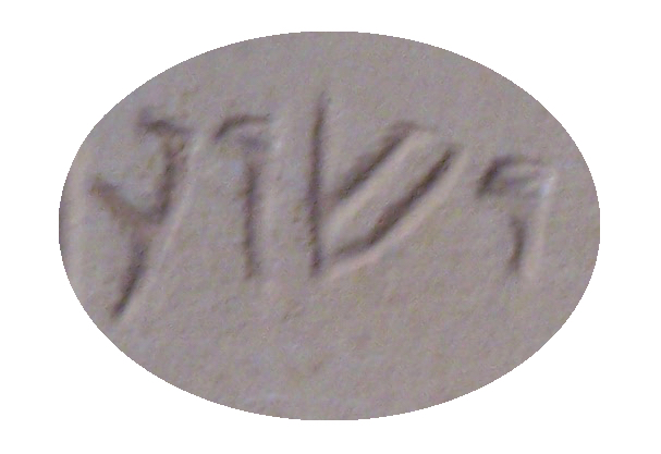 The name yēshūa‘ as it appears on a first-century ossuary discovered in Jerusalem (Rahmani no. 702). Photographed at the Israel Museum by Joshua N. Tilton.